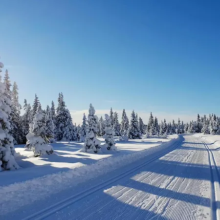 Vakantiehuis In Sjusjen With 3 Bedrooms, Sauna&internet Sjusjoen