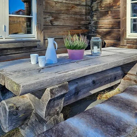 In Sjusjen With 3 Bedrooms, Sauna&internet Vakantiehuis